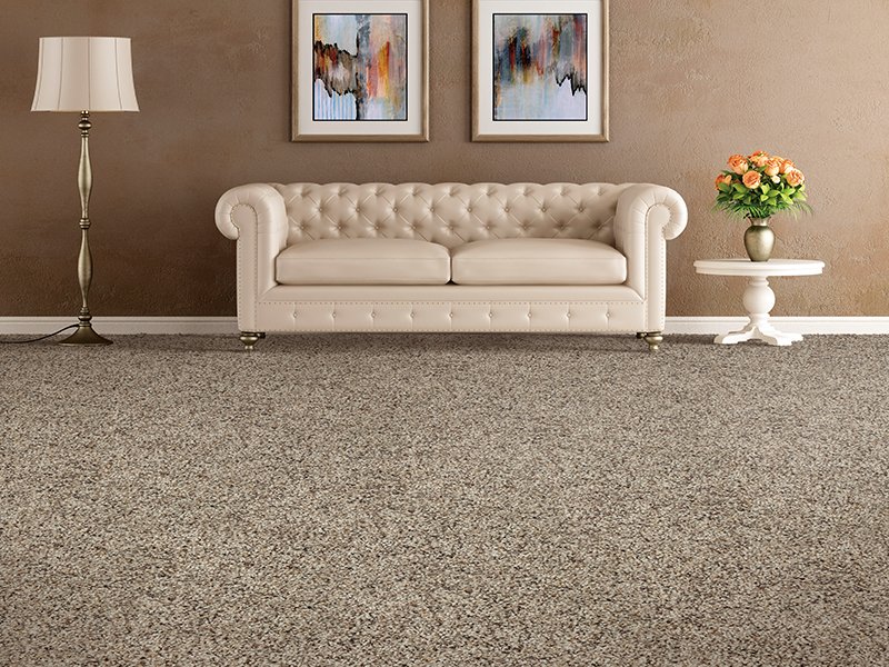 Beige carpet in a traditional living room